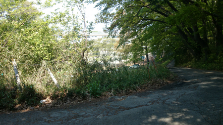 20140425DSC_0318.jpg