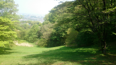 20140425DSC_0346.jpg