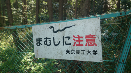 20140425DSC_0352.jpg