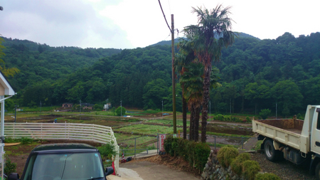 20140528001.jpg