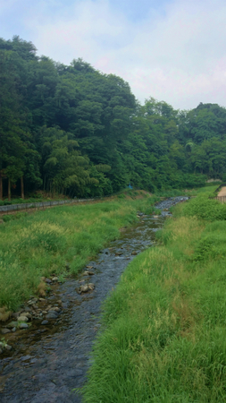 20140528006.jpg