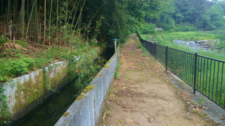 20140528007.jpg
