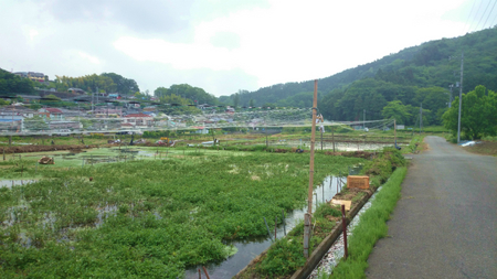 20140528008.jpg