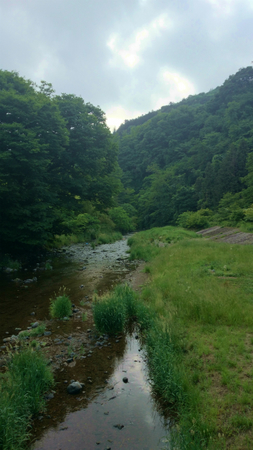 20140528009.jpg