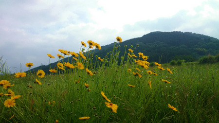 20140528010.jpg