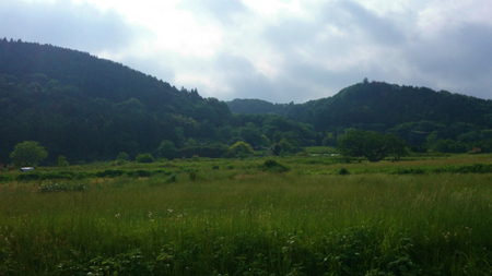 20140528013.jpg