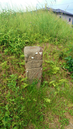 20140528017.jpg