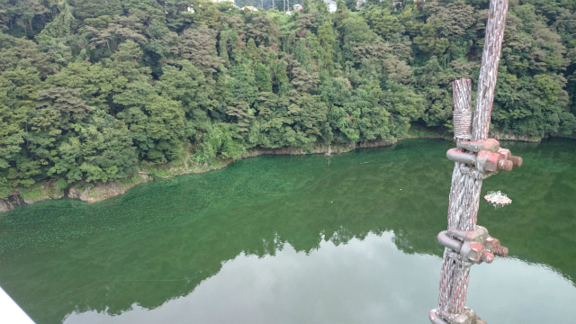 20140903 打越峠DSC_1145.jpg