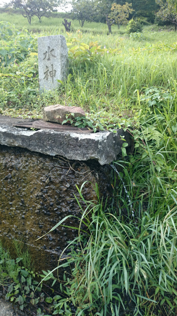 20140903 打越峠DSC_1158.jpg