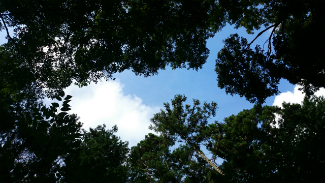 20140903 打越峠DSC_1205.jpg