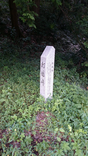 20140903 打越峠DSC_1214.jpg
