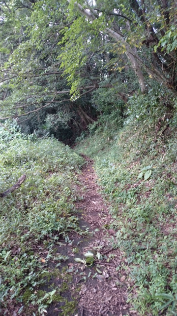 20140903 打越峠DSC_1215.jpg