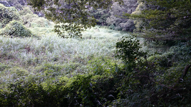 20140903 打越峠DSC_1217.jpg