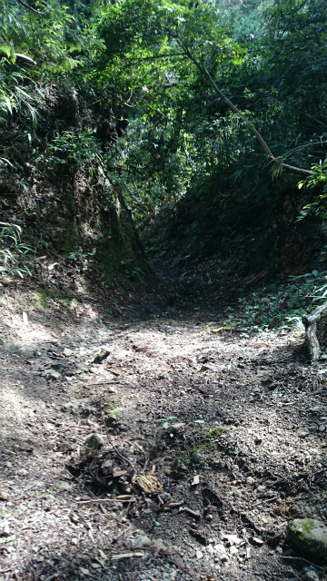 20140903 打越峠DSC_1223.jpg