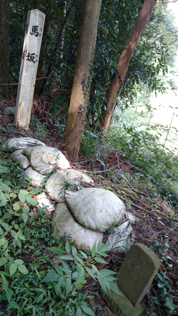 20140903 打越峠DSC_1226.jpg