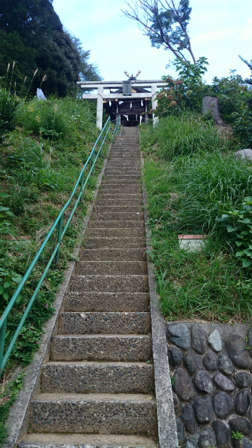 20141015 城山 雨降 大戸 相原DSC_0037.jpg