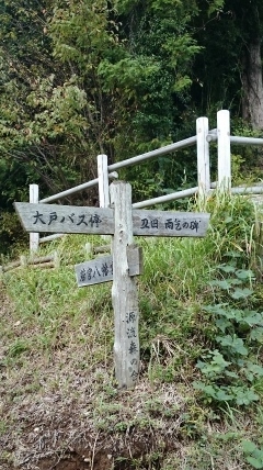 20141015 城山 雨降 大戸 相原DSC_0065.jpg