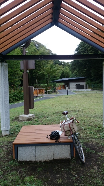 20141015 城山 雨降 大戸 相原DSC_0102.jpg