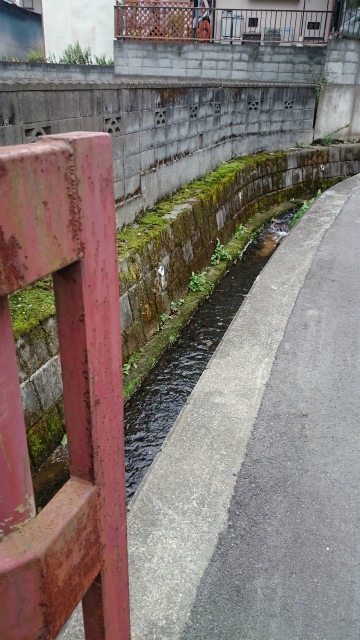 20141015 城山 雨降 大戸 相原DSC_0119.jpg