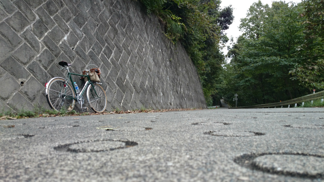 20141015 城山 雨降 大戸 相原DSC_0141.jpg