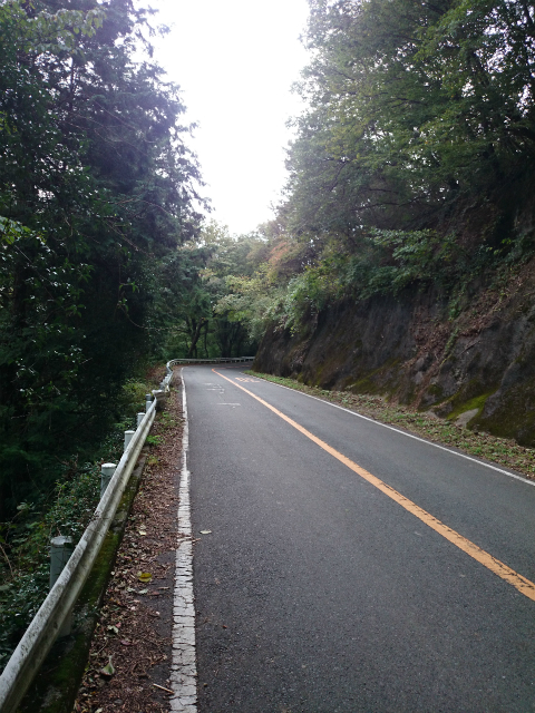 20141015 城山 雨降 大戸 相原DSC_0157.jpg