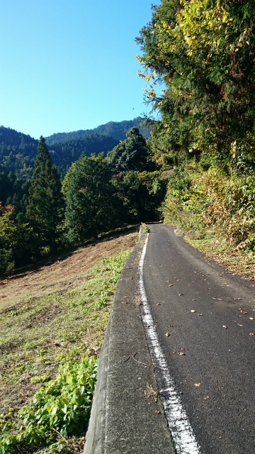 20141029林道小野線DSC_0046.jpg