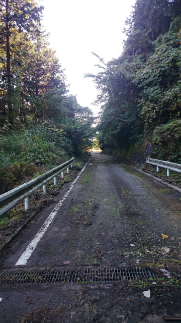 20141029林道小野線DSC_0081.jpg