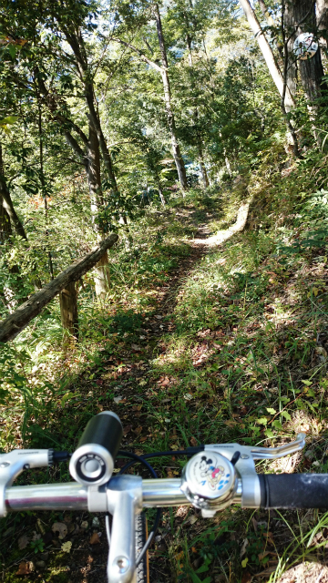 20141029林道小野線DSC_0120.jpg