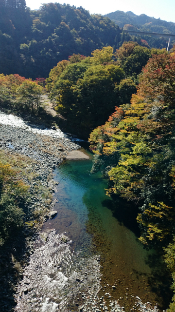 20141029林道小野線DSC_0141.jpg