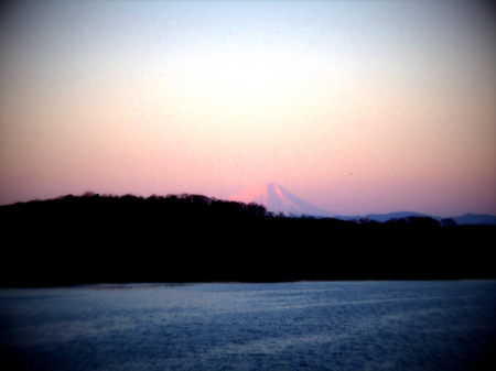 2014 元旦 狭山湖P1010037.jpg