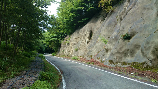 2014二十曲峠DSC_0866.jpg