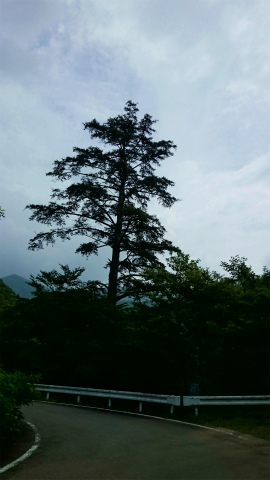 2014二十曲峠DSC_0872.jpg