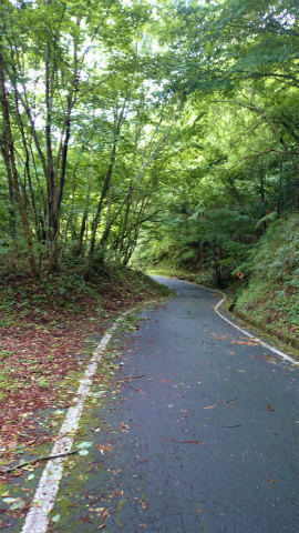2014二十曲峠DSC_0882.jpg