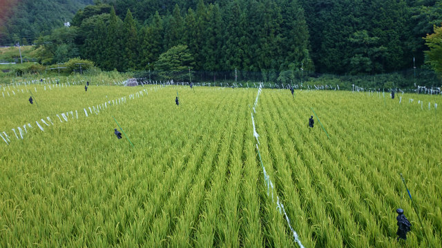 2014二十曲峠DSC_0895.jpg