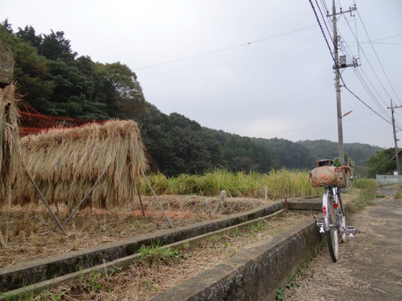 DSC01446.jpg