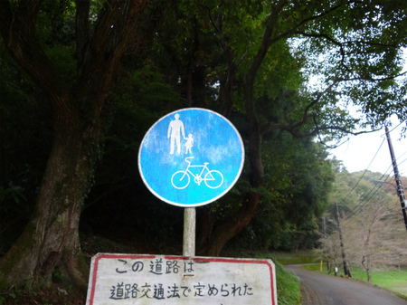 DSC01469.jpg