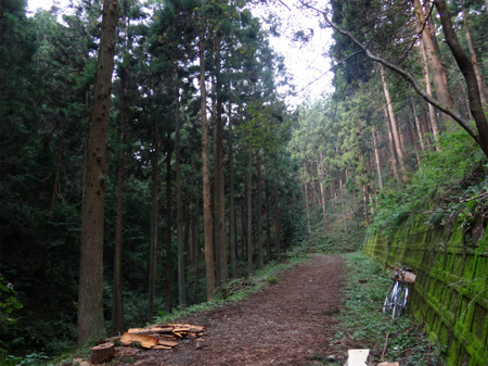 DSC01481.jpg