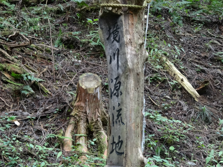 DSC01485.jpg