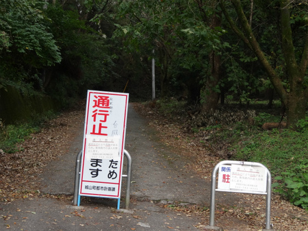 DSC01503.jpg