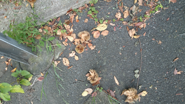 DSC_0065.jpg
