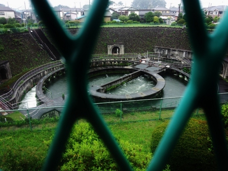 DSC_0521.jpg